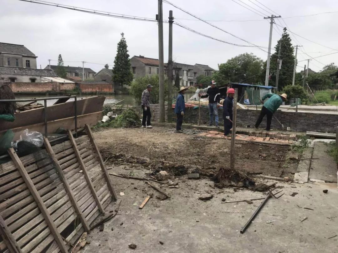 农村人居环境整治丨东汇村:建立长效机制,齐心协力改善农村人居环境