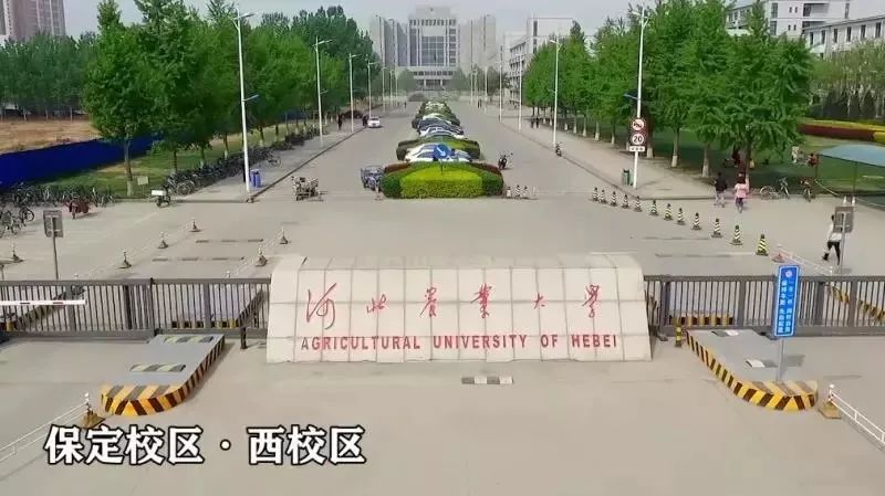 河北农大的饭,久负盛名,包你做最胖的仔!