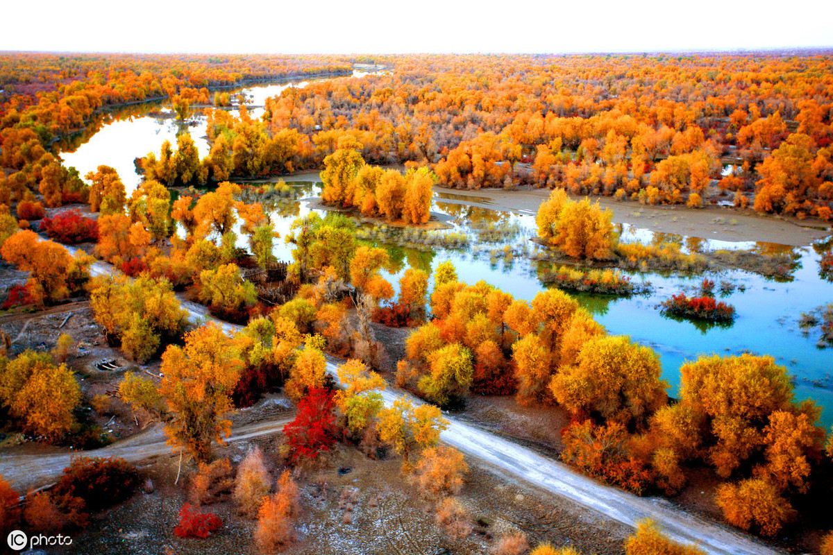 塔里木河为中国第一大内陆河,全长2179公里,它由叶尔羌河,和田河