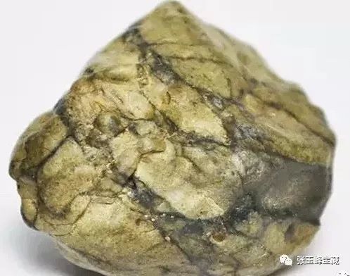 9早点晚报 投洽会,郑州硕果满枝:60个签约项目总
