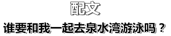 20元畅游泉水湾怀化这家网红水上乐园6月22日开业优惠仅限十天