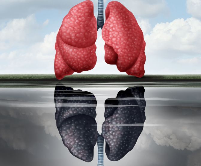 研究表明,每天吸一包烟的"吸烟者",每年每个肺细胞(lung cell)中会