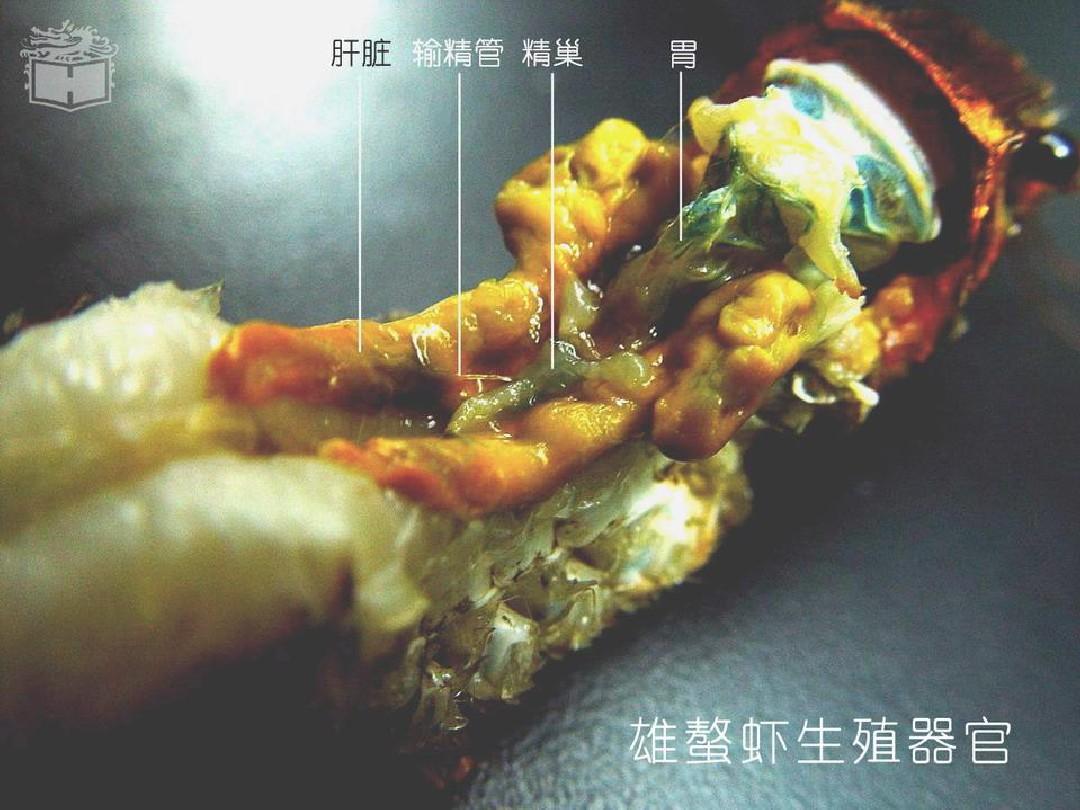 小龙虾虾头究竟是精华还是翔?能吃吗?真相来