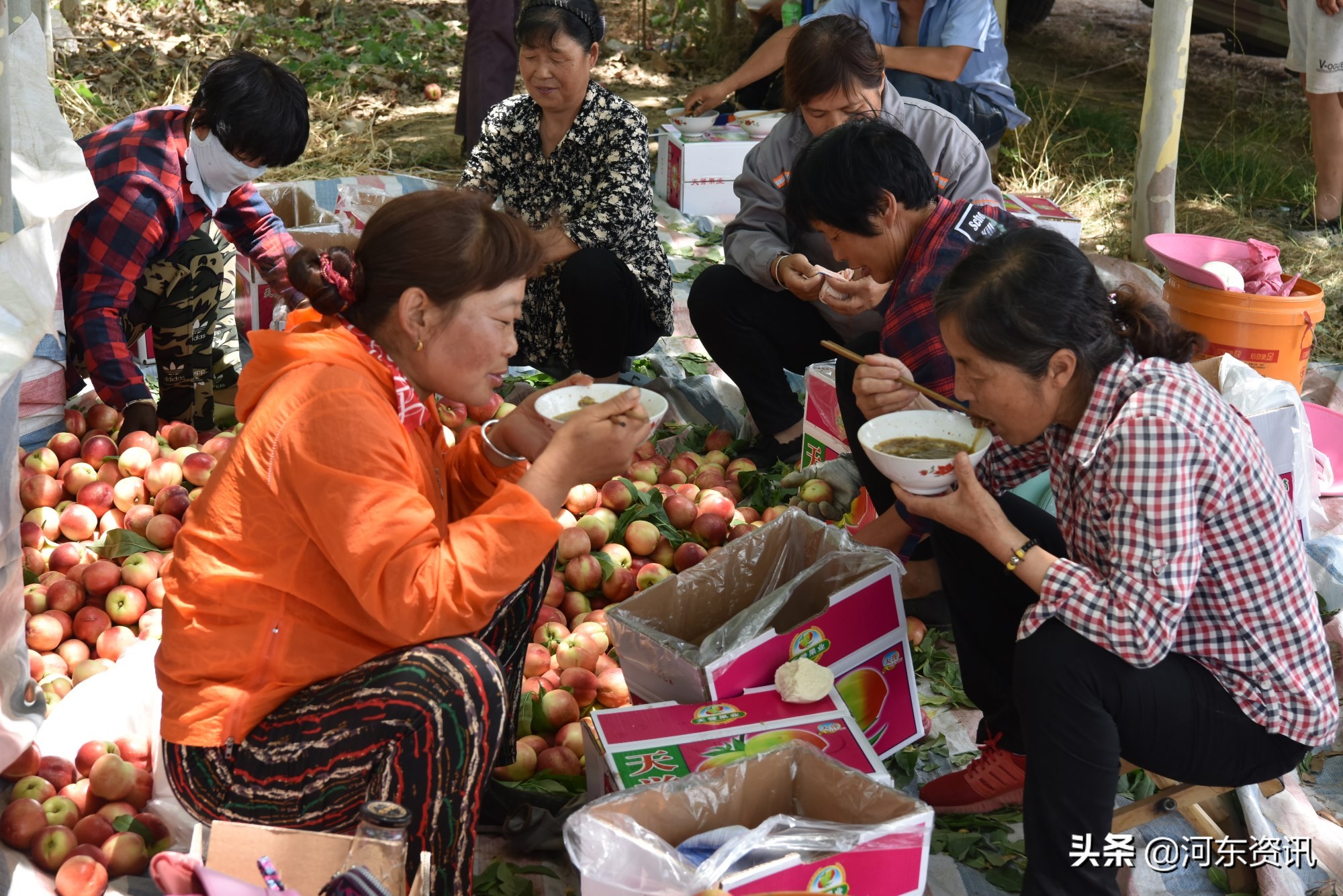 37度高温中午不回家,看他们在滩涂地里吃的是