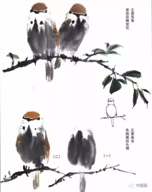 中国画技法：麻雀、太平鸟绘画技法详解_搜狐网