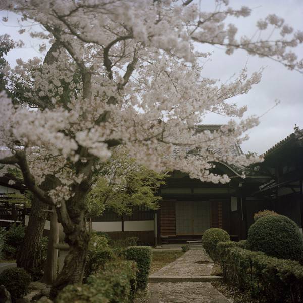 下一站 京都 隐居闹市传统町屋 私享和风庭院仪式感晚餐 解锁小众地道好去处 鸭川