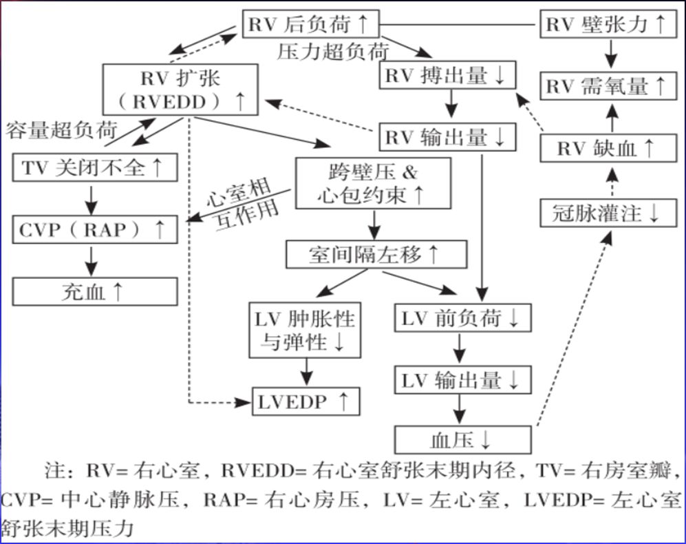 以后逐步发展为失代偿并出现心力衰竭症状,肺血管阻力和右房压也升高