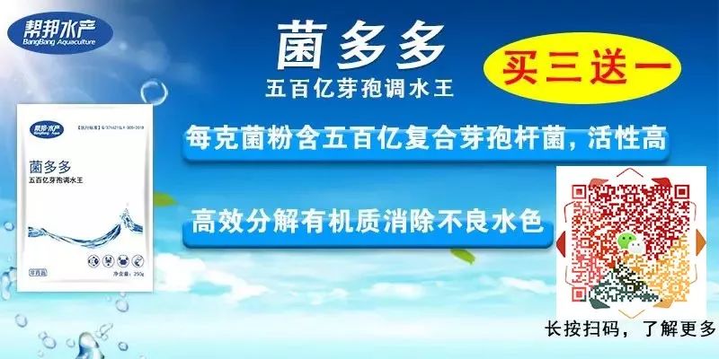 氧化招聘_教师招聘面试化学 氧化还原反应 教学设计 教师招聘 中公教育网(2)