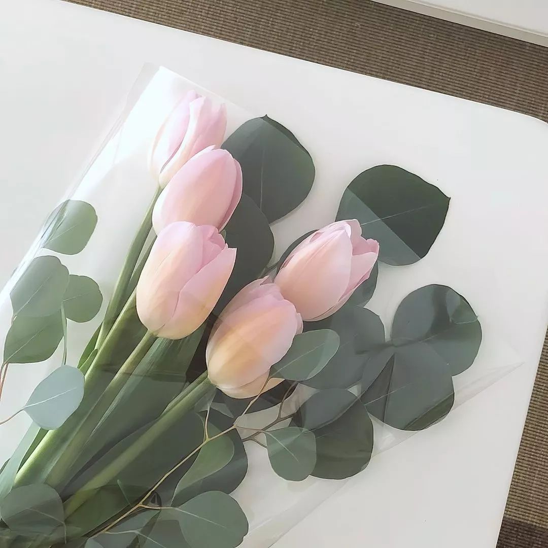 ͼ/ͷ | ͼ