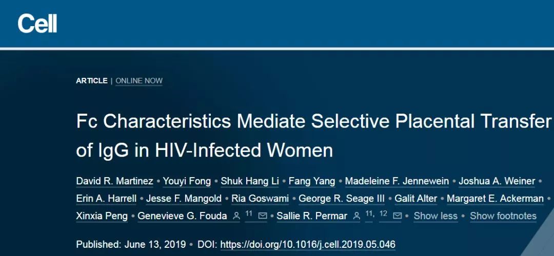 免疫球蛋白igg是什么原因 b0ffcb2678dd495fa6f0246ee909ddb4.jpeg