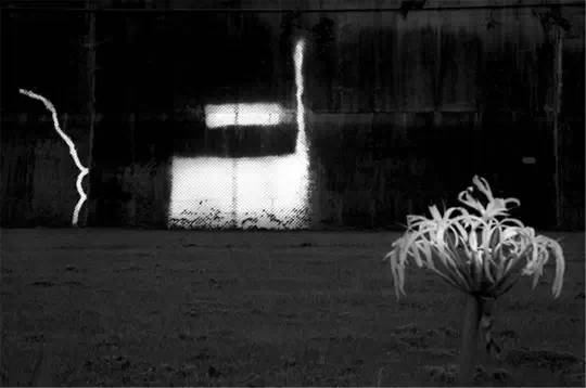 什么情况才能开拓眼界 cd78e7b814df4fe1b40d0df263739ebb.jpeg