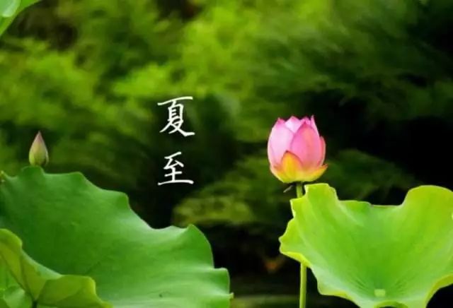 四季牌阵图片 eac896f211424f06b35546fa74cbed8e.jpeg