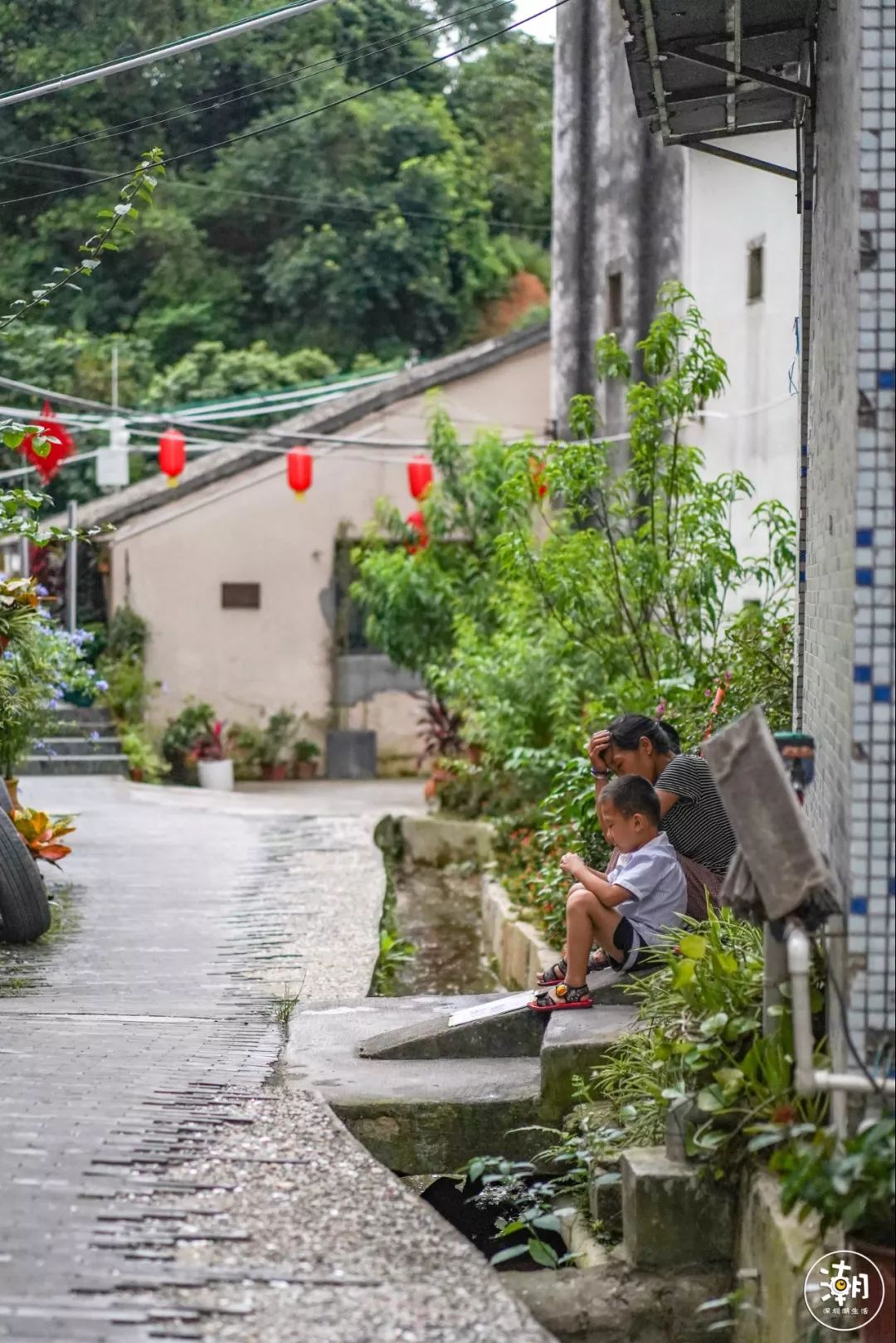 深圳藏着400年历史的客家老村，美爆！竟还有 “无人” 花房？！