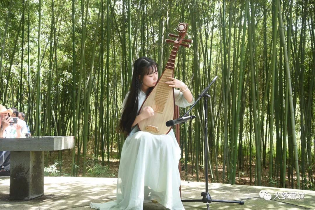 二胡,古琴,萨克斯,陶笛……"云气诗滩"森林音乐会精彩