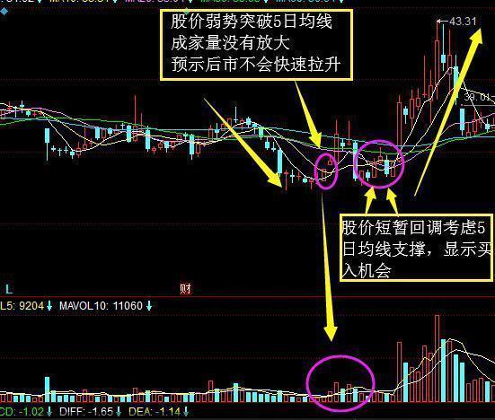 五日均线操盘法