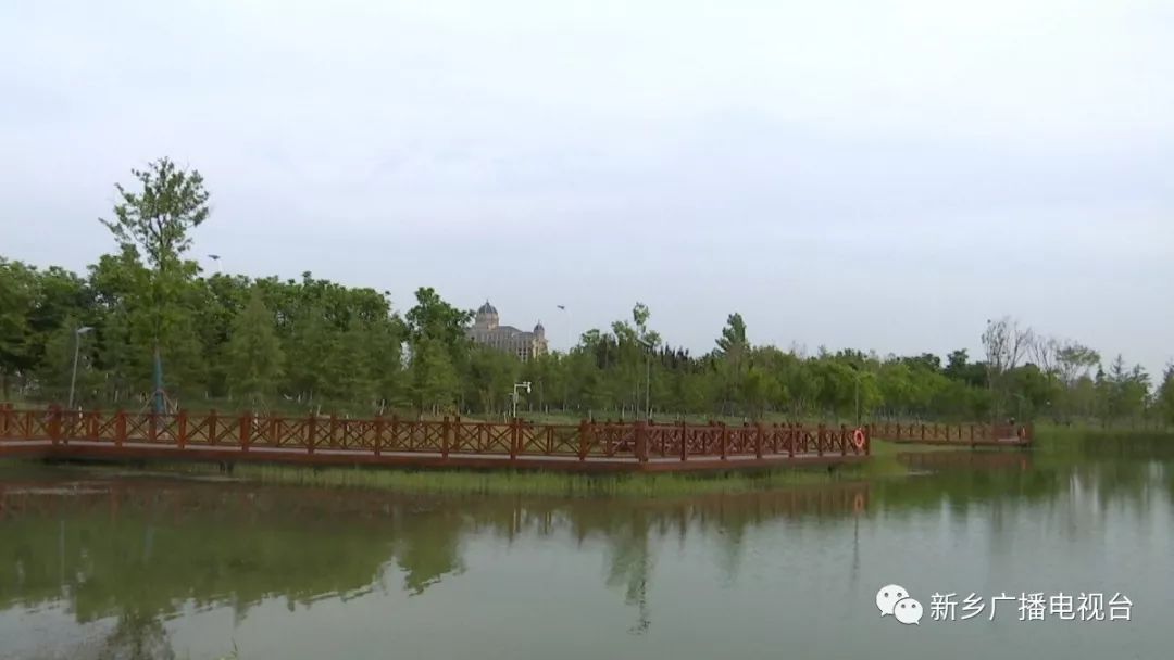 【大美新区】我市再添一处美景 凤栖湖生态公园开放
