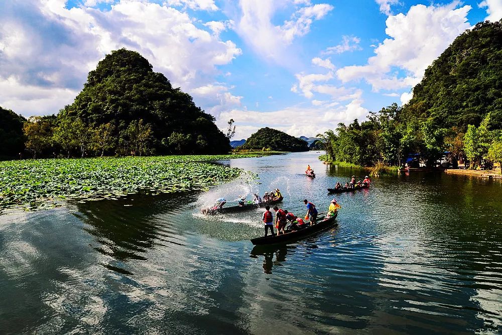 普者黑是国家aaaa级旅游景区,著名影视作品"爸爸去哪儿"以及"三生三世