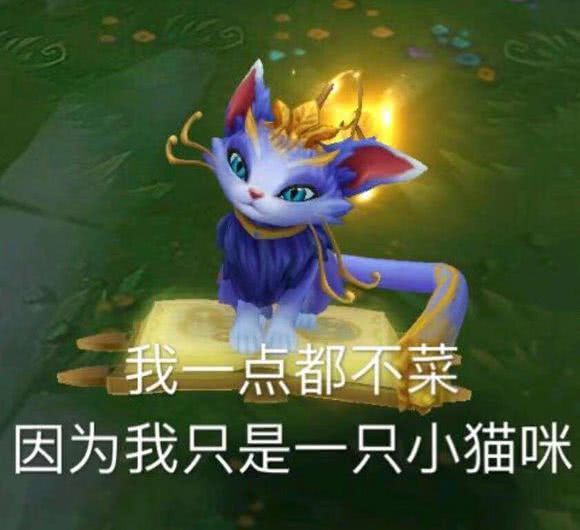 lol魔法猫咪很弱这3位英雄才和它是绝配图4轻松2打5