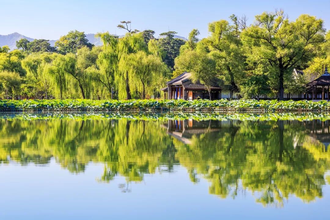 泉水什么成语有哪些_泉水里的小虾是什么虾(2)