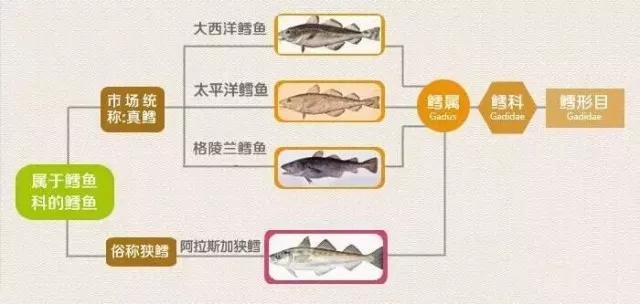                     当心！吃了这东西，宝宝拉了一堆油，很多宝妈还不知情...