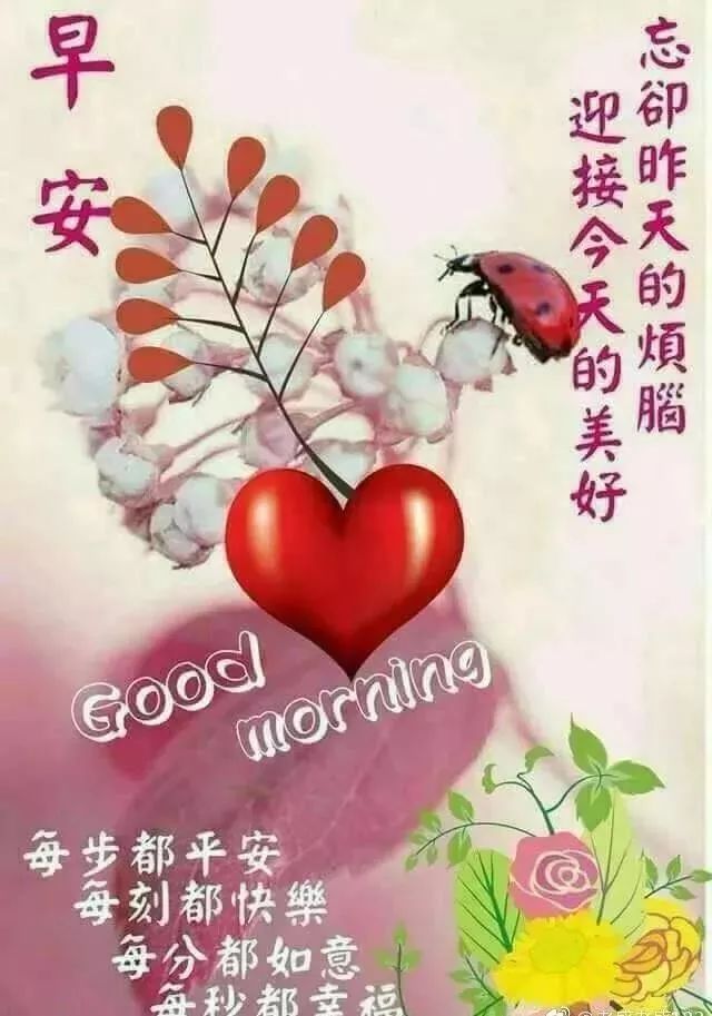 早晨好的问候语表情动图 早晨好祝福语和关心句子