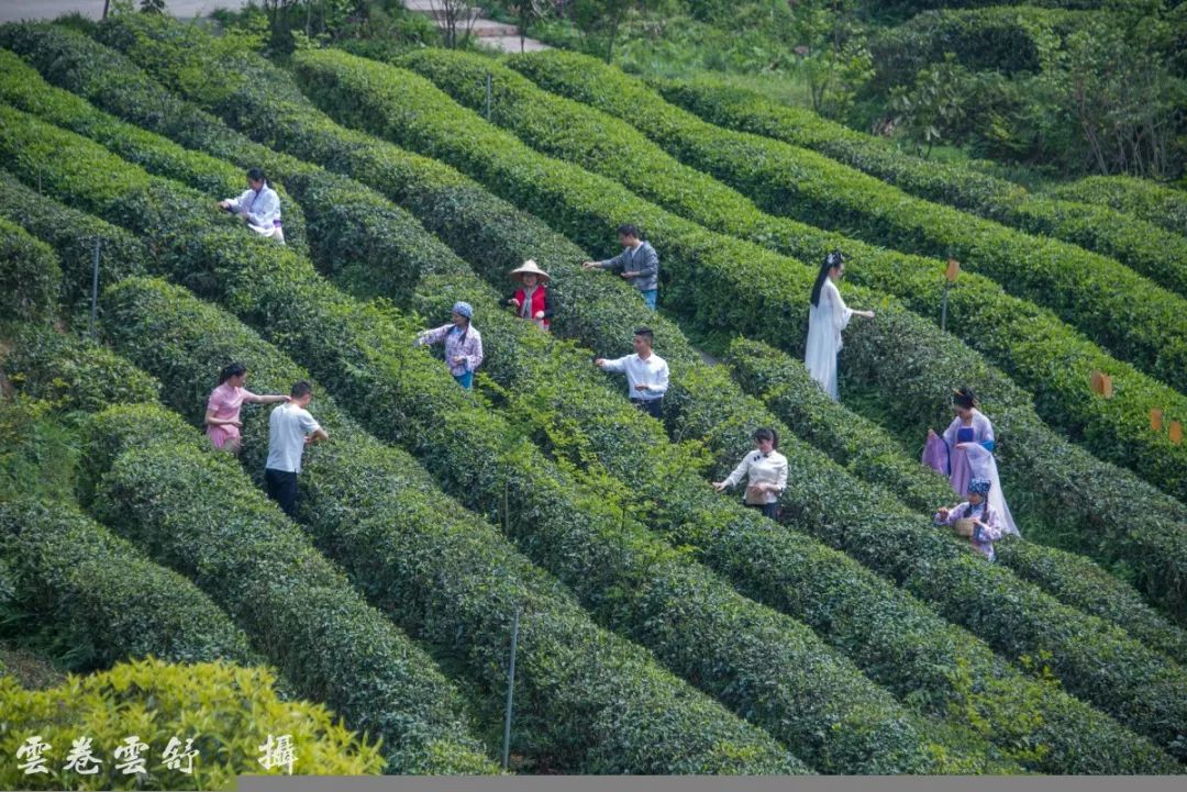 都江堰诗词大会 | 穿越到清代，你知道“灌阳十景”是哪十景吗？