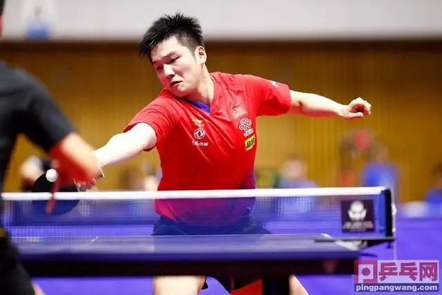 国际乒联最新排名混双第一 207ee207e8804e09a1b881bfda2c0478.jpeg