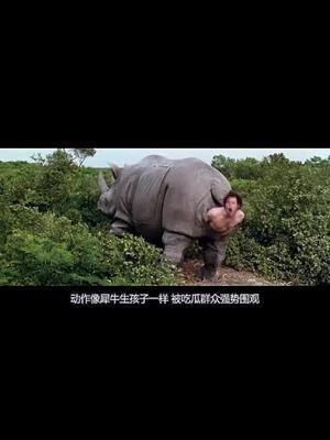 保护我方技术流 金凯瑞搞笑喜剧《神探飞机头2》，果然名不虚传！～4抖音小助手