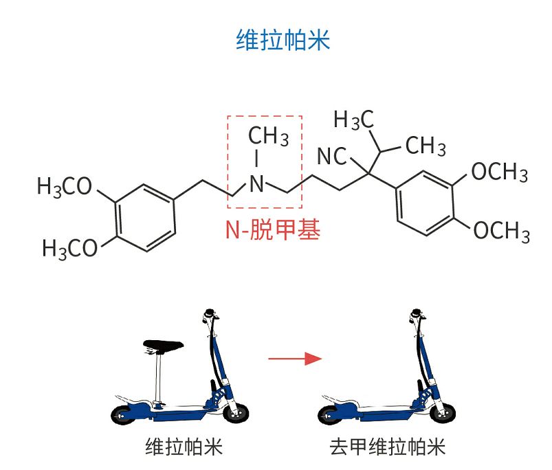 西药丨每天轻松学习一个西药知识点「维拉帕米」