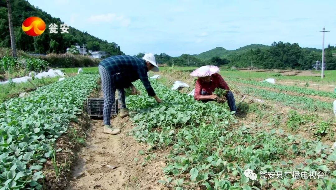 临沂玉山镇人口_临沂义堂镇图片(3)