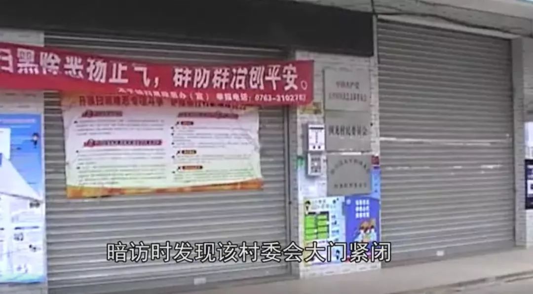 阳山人口邹_阳山水蜜桃(2)