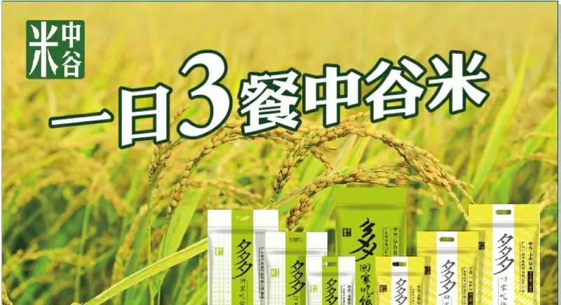 赞红海湾中谷米业海陆丰助农益民