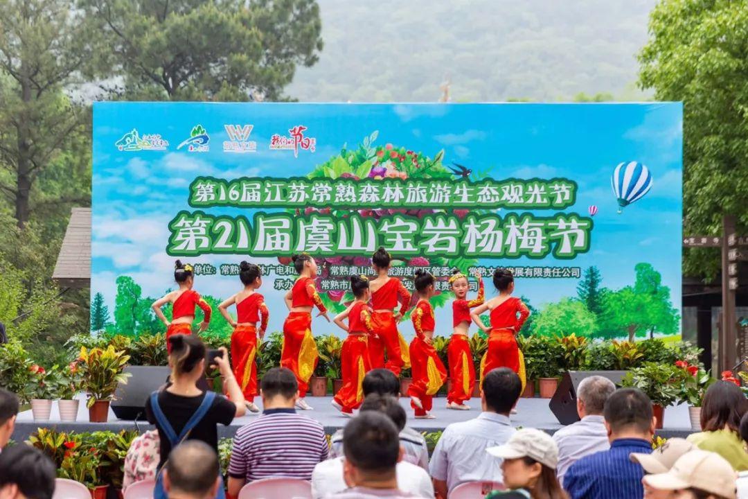 香甜鲜嫩入口爆汁等了一年的宝岩杨梅节终于来啦