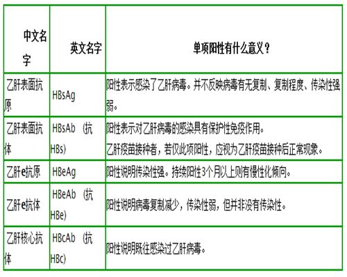 逐一对照b肝五项,找出b肝病毒标志物,看懂核心抗体_阳性