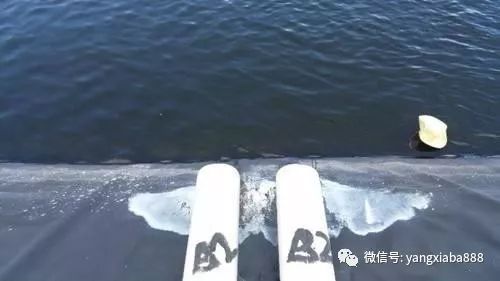 4a6a7b98720f499c9383e9285e016b83.jpeg