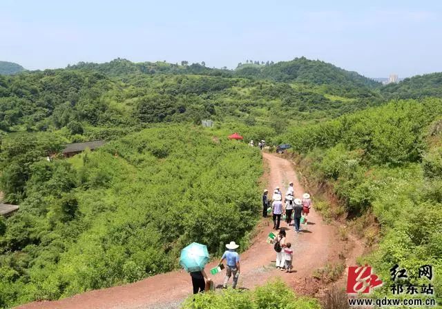 胜联村(竹冲)与衡南县柞市镇虎岭村交界处(导航请输入"竹冲")来园路线