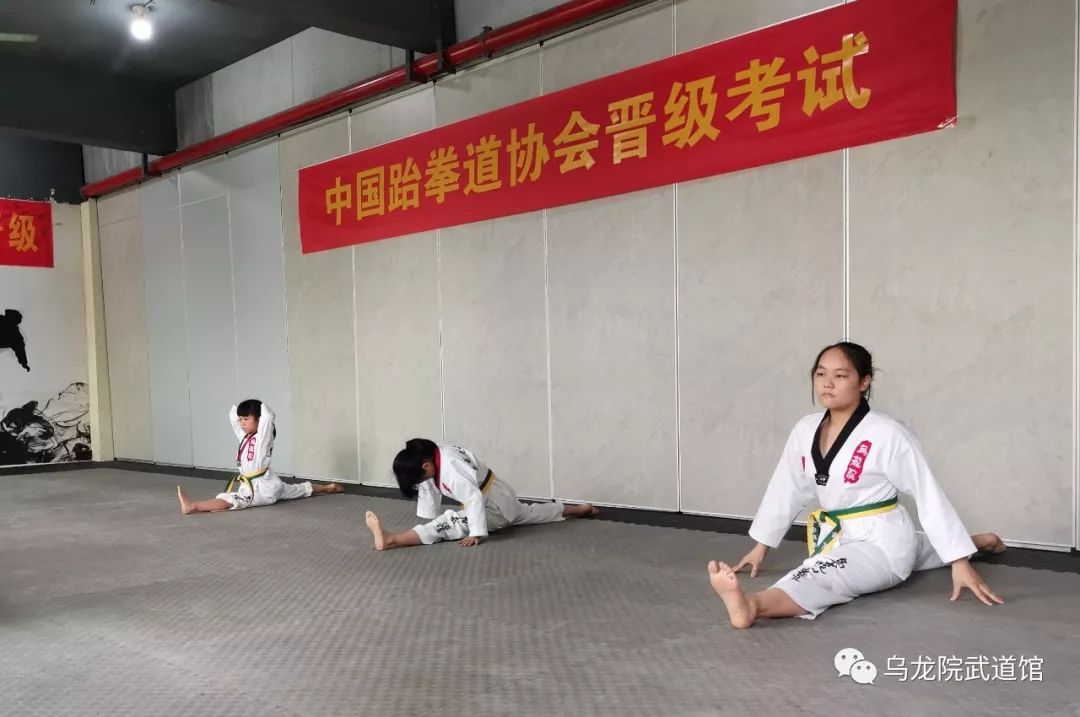 热烈庆祝乌龙院武道馆第九次跆拳道考级大会圆满成功