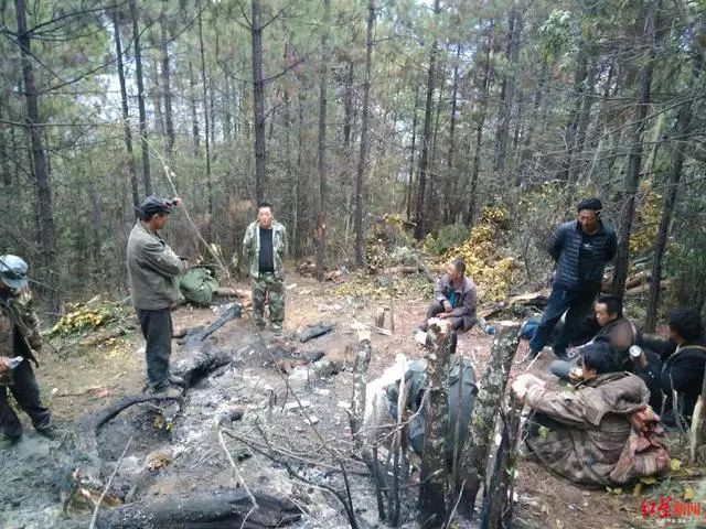 凉山木里发生森林火灾,60余名村民通宵奋战将火扑灭!