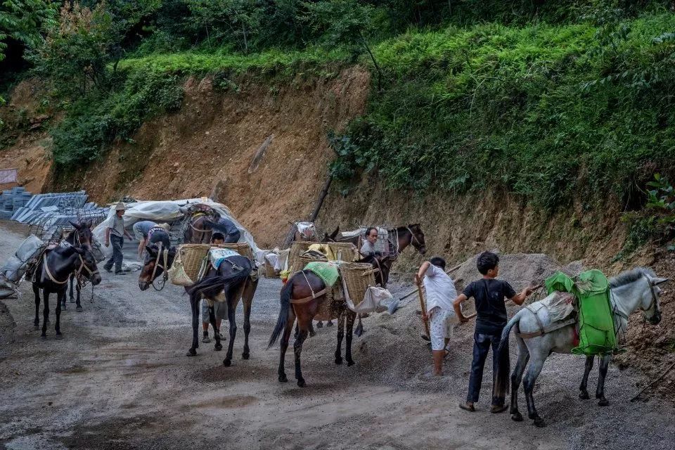 负沙载石的骡马队穿行于湘西的大山深处