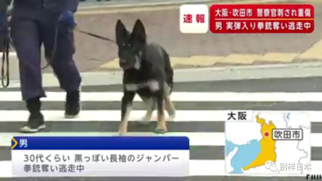 派出所配枪标准 6ad9b1a9a8c64e1db80bc968093292d2.jpeg