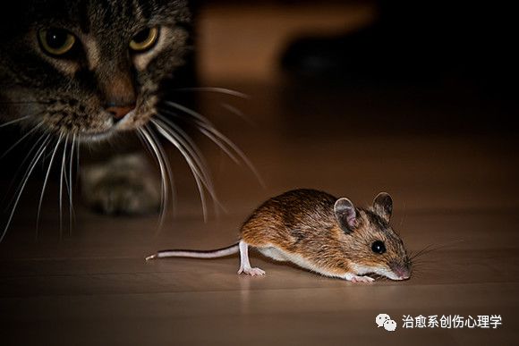 把人性说得最透彻的10个心理短片