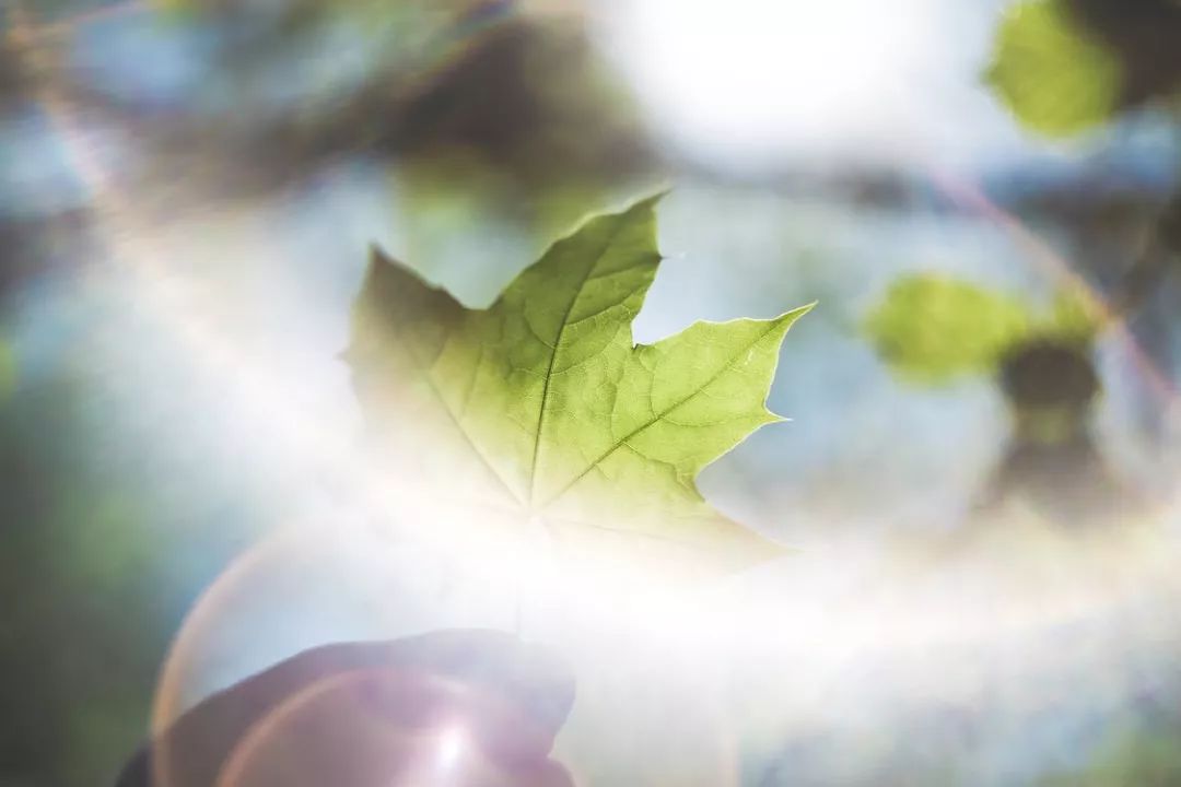 GDP焦虑症_GDP焦虑症(3)
