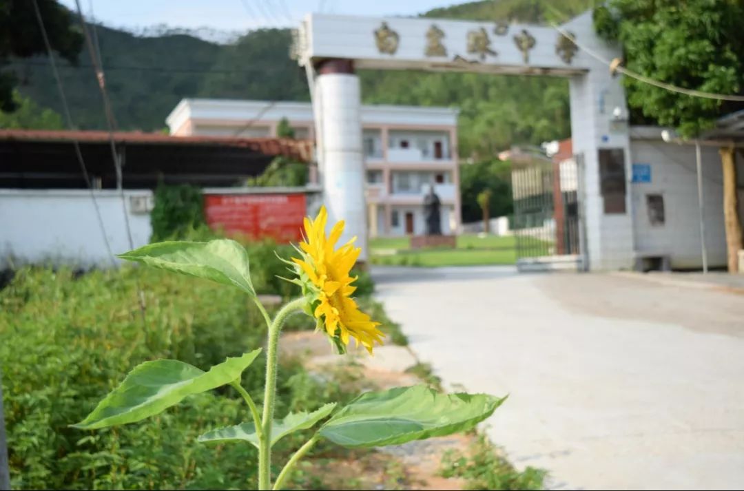 惠东这所中学,是你的母校吗