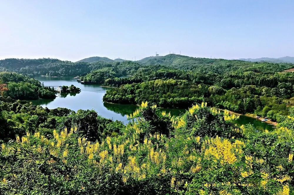 四川丨2019 崇州·无根山越野挑战赛报名进行时!