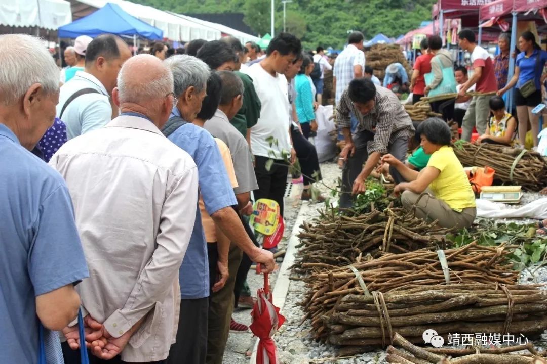 厉害靖西中草药材交易800多吨2019年端午药市交易额达680万元