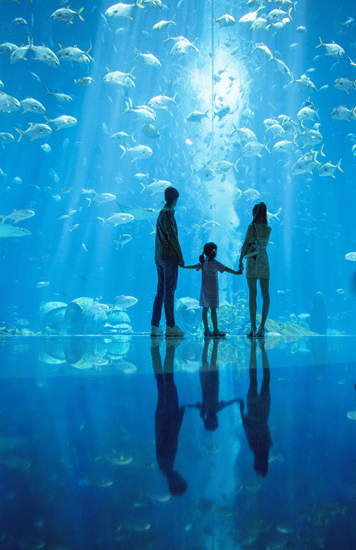 如何带娃玩转三亚亚特兰蒂斯!