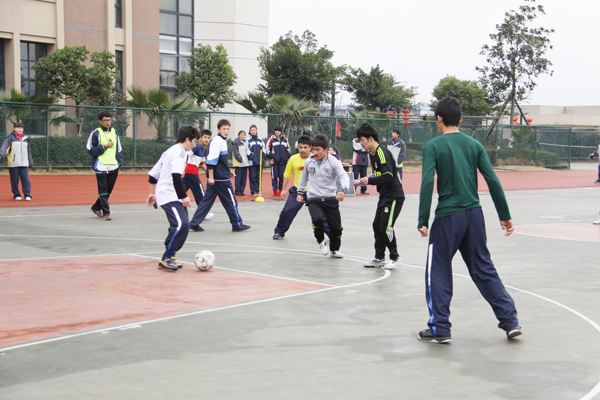 学新的知识_学会了新知识_新知识学什么好