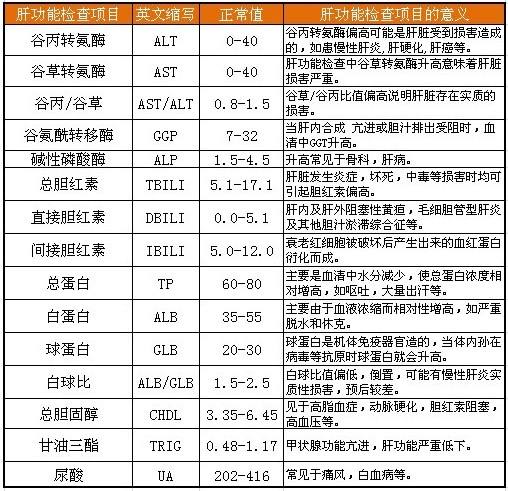 肝功能gdp_复查过肝功能的进来看一下 国内航空 kongjie.com