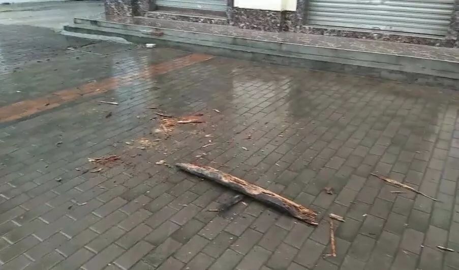 梦见掉下木头差点砸到