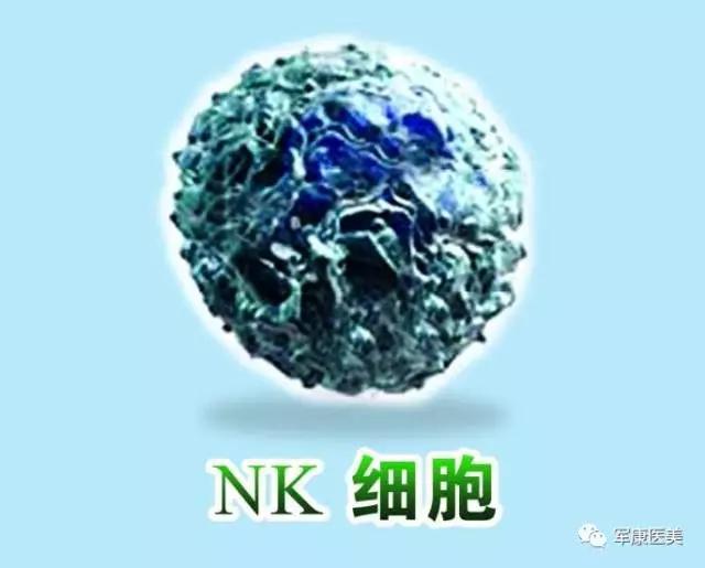 nk细胞:自然免疫抗衰,治疗疾病,防癌的利剑!